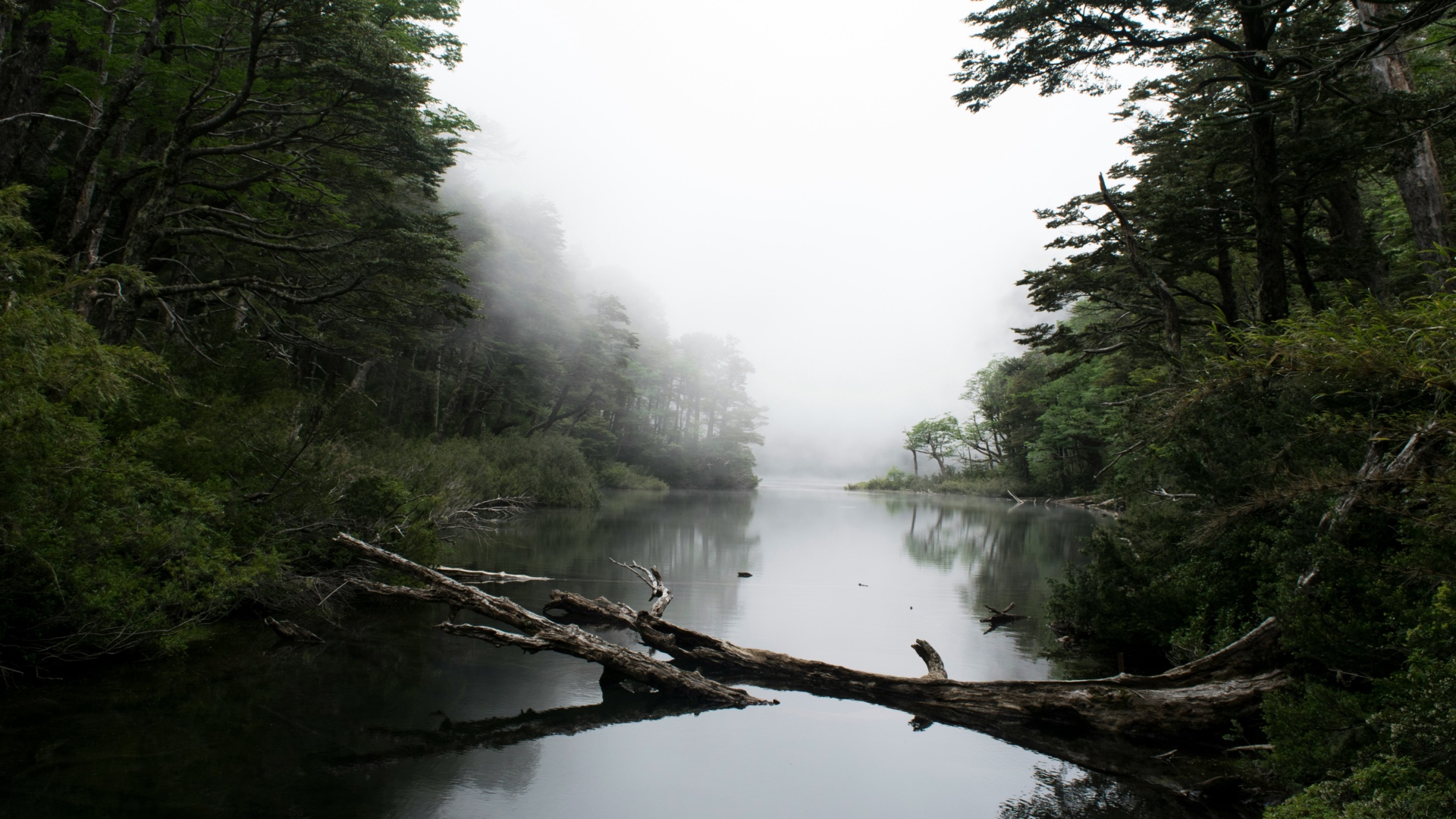 Nationalpark Huerquehue